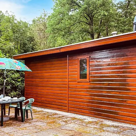 46 Tatil Evi Hattemerbroek